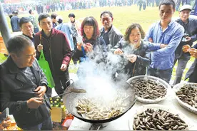 特色蛏子节拉开帷幕 宁海长街打造富民“蛏子饭碗”图片