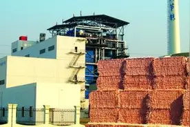 生物质能发电市场规模预测图片