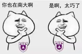南大十梗图片