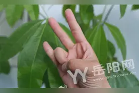 最新国际通用报警求助手势？警方表示：没听过图片