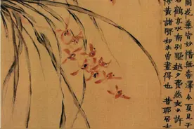 兰花吟----追忆兰花的别样风情！（下）图片