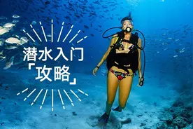 像他们一样融入深蓝 | 潜水入门攻略图片