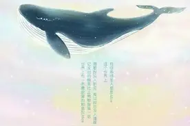 孤独的52赫兹鲸「有故事的人」图片