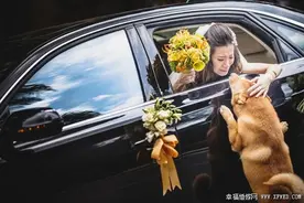爱的承诺! 28个感人暖心狗狗婚礼画面!图片