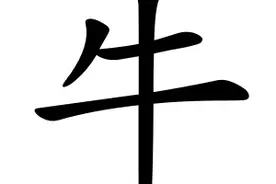 沈阳最权威的医院、科室、医生名单都在这，看病不用再瞎跑了！图片
