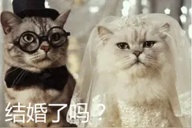 不爱差不多先生 结婚这件事我不将就图片