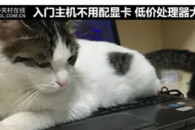 入门主机不用配显卡 低价处理器大推荐图片