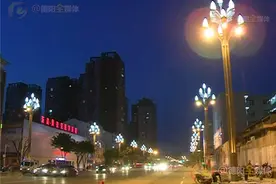 玉兰“花”开 庐山路夜晚亮起来图片