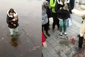 山东女大学生寒冬跳湖救野兔 食堂大叔感动要请吃饭图片