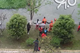 三墩一男孩河边抓蝌蚪落水，岸边的姐姐嚎啕大哭，老爸为救他图片
