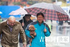 雨中长春 女人为狗狗撑伞身边男人顶雨皱眉前行图片