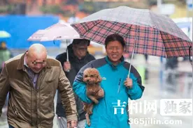 雨中长春 女人为狗狗撑伞身边男人顶雨皱眉前行图片