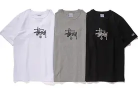 Stussy最新单品，还是与Champion的合作款图片