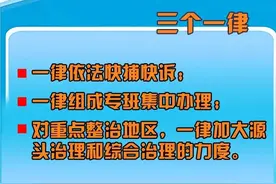 公安部部署春雷行动图片