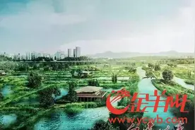 白云区湿地项目开始招标 核心区达15平方公里图片