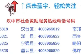 陕西老年人口和老龄事业发展状况（上）老年人口基本信息图片