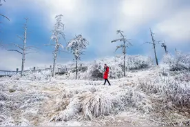 峨眉山——一场雪把我留在这里图片
