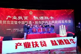 颠覆传统工艺，新酒品“肽酒”亮相武汉图片