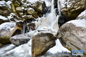 冰似晶帘山壁挂 飞流石涧作霜花图片