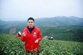 云集微店×艺福堂：新模式开创互联网“茶马古道”图片