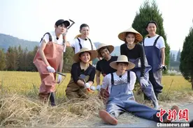 《青春旅社》王源郭劲岐割稻获冠军图片