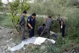 游客没扯象尾？领队见义勇为？泰国大象踩死中国领队真相到底是什么？图片
