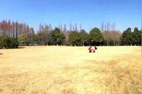 杭州西湖边六千平方米大草坪隆冬开放：小草已休眠、耐踩踏图片