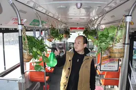 赞！咱绿城有个绿植公交车厢图片