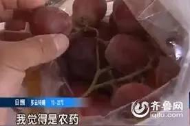 济南孕妇买红提发现有奇怪气味 质疑有农残不敢食用图片