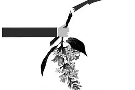 枝头春意挡不住“辣手摧花”图片