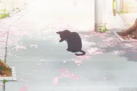 实力显白樱花妆，赏不赏樱你都得来一个！图片