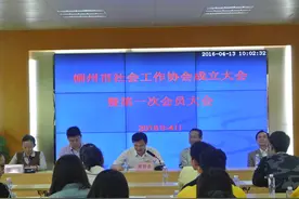 柳州市社会工作协会召开成立大会暨第一次会员大会图片