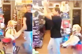 成精了！狗狗模仿主人跳舞 与主人配合天衣无缝视频封面