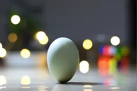 一秒钟倒立鸡蛋，无需任何道具！我已经准备好明天早餐加鸡蛋了！