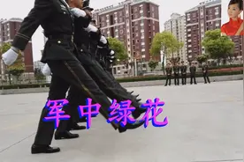 龚玥—《军中绿花》太多人喜欢这首歌，送给喜欢的您！图片