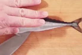 手把手教你处理秋刀鱼，几分钟搞定