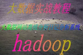 大数据基础 教程之海量数据分析开发系统视频封面