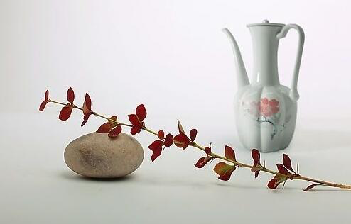 酿酒设备-白酒五味