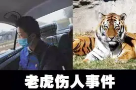 九级伤残索赔218万元：老虎伤人事件再次提告 案件怎么判？视频封面