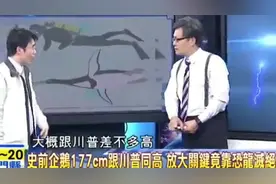 台湾节目：史前有企鹅高177cm，主持人：那不是跟川普一样高？