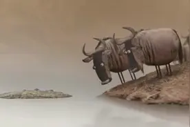 为啥犟字是一个牛顶一个强