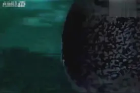 螺旋丸明明不是鸣人他爸的自创的忍术，我有证据视频封面