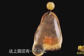 脚丫子上趴着一只蜘蛛，你知道有什么寓意吗？专家告诉你吧视频封面