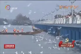 滇池治理见成效 全湖水质持续向好视频封面