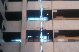 为啥日本的房子不怕地震?图片