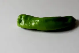 妈妈教我切辣椒手不辣的小窍门，用点这个用涂一涂视频封面