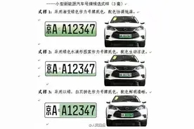 新能源车牌号，你喜欢哪个？图片
