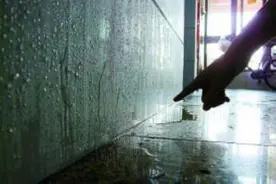 头一次知道瓷砖还能吸水，这回家里不怕潮了！图片