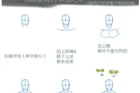 画动漫人体田性躯干和动漫女孩腰部绘画思路图片