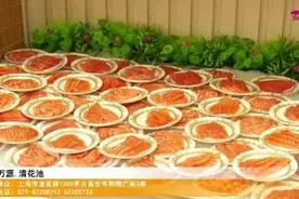 上海温泉第一站：万源-清花池-美食娱乐休闲温泉沐浴的圣地天堂图片